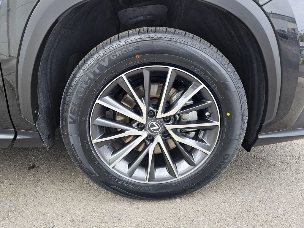 2023 Lexus NX 350 Premium