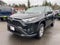 2025 Toyota RAV4 Hybrid LE -AWD