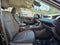 2024 Toyota RAV4 Hybrid Woodland Edition -AWD